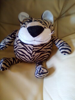 Aufnahme mit der Frontcam