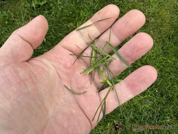 ...als wir von der beworbenen Mulchfunktion erwartet hatten.