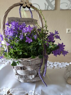 Xiaomi Mi 9 - Photo-Modus