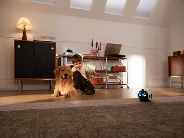 EBO Max als Haustier Begleiter.