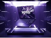 XMG spendiert dem Pro 16 ein optionales Mini-LED-Display. (Bildquelle: XMG)