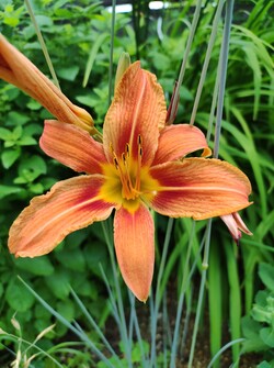 Aufnahme mit der Hauptkamera