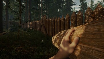 Screenshot aus The Forest