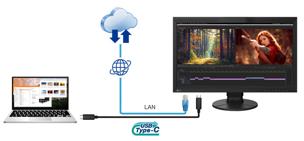 LAN-Anschluss am Monitor