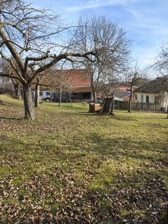 Aufnahme mit der Hauptkamera (kein Zoom)