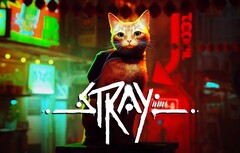 In Stray schlüpft der Spieler in die Rolle einer streunenden Katze, die in einer verfallenen Cybercity umherirrt. (Bild: Sony)