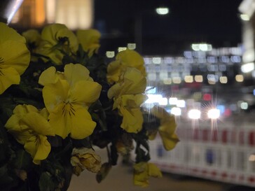 Ein 5x Telefoto-Shot mit dem Galaxy S25 Ultra.