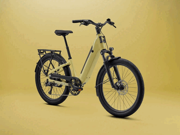 Das Vida E+ EX E-Bike in