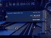 Amazon verpasst der 2TB-Version der WD Black SN850X den größten Rabatt seit November (Bild: Western Digital)
