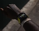 Garmin hat die Beta-Version 19.13 für Forerunner Smartwatches veröffentlicht (Bild: Garmin).