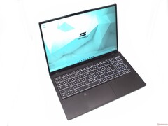 Schenker Work 15 Tiger Lake-H Laptop im Test