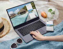 Honor MagicBook X 14 um fast 50 Prozent rabattiert, direkt beim Hersteller (Bild: Honor)