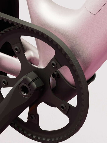 Verbaut sind ein Drehmomentsensor und ein Carbonriemen