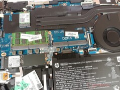 HP ProBook 445 G7 - Freier RAM-Slot