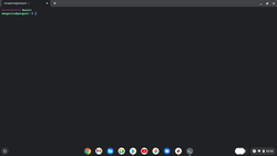 Linux-Umgebung unter Chrome OS