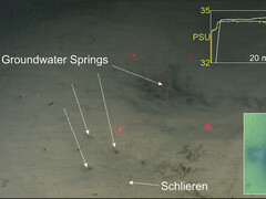 Süßwasserquellen im Salzwasser. (Bild: Niwa)