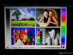 weite Blickwinkel des IPS-Displays