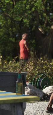 Hier erleichtert sich offenbar ein Mann an einem Baum (vergrößerter GTA-6-Screenshot).