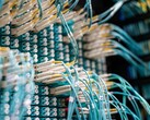 Blaue Glasfaserkabel mit weißen Steckern an einem Patchpanel im Rechenzentrum