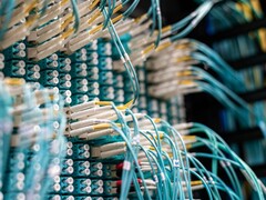 Blaue Glasfaserkabel mit weißen Steckern an einem Patchpanel im Rechenzentrum
