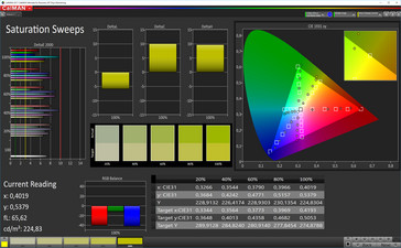 CalMan Farbsättigung (Zielfarbraum sRGB)