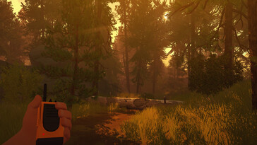 Ein Wald in Firewatch.