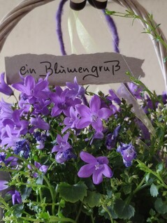 Xiaomi M Mix 3 - 2x-Zoom