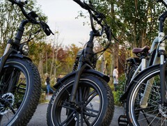 E-Bikes gibt es in ganz verschiedenen Ausführungen (Symbolbild, Bildquelle: Himiway Bikes)