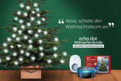 Alexa Weihnachts-Bundle: Nordmanntanne, Lichterkette, smarte WLAN-Steckdose und Amazon Echo Dot