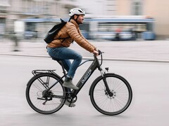 C29 Lite: Elektrofahrrad mit Nabenmotor (Bildquelle: Duotts)
