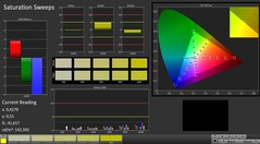 CalMAN: Farbsättigung (X-Rite Pantone)