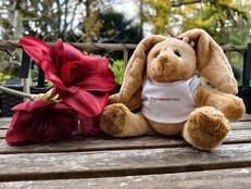 Vivo X300 Pro: Beispielfoto