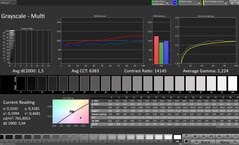 Graustufen (Profil: Professionell, Zielfarbraum: sRGB)