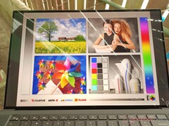 Im Freien im Schatten