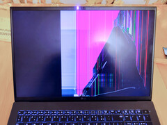 Rettung für ein LG Gram 17 in Eigenregie