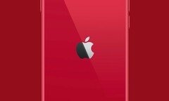 Die Entscheidung zwischen dem iPhone 11 und dem neuen SE könnte einigen Kunden schwerfallen. (Bild: Apple)