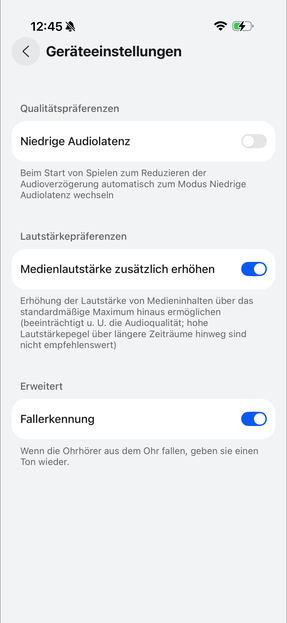 Ohrhörer-Einstellungen: iPhone