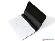 Schwarz-Weiß-Malerei: