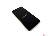 Lumia 650: Letztes Lumia?
