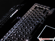 oder aber auch schlichtem Weiß.