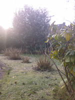 Frontkamera-Aufnahme