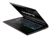 Test Gigabyte P34W v3 Notebook