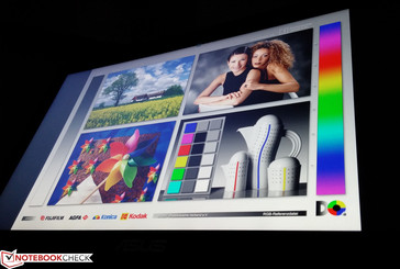 IPS-Display mit weiten Blickwinkeln