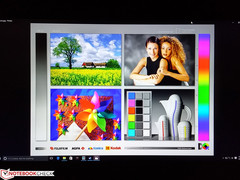 weite Blickwinkel des IPS-Displays