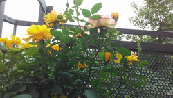 Aufnahme Frontkamera