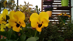 Aufnahme Frontkamera