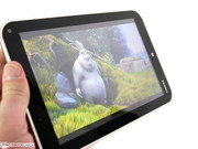 Das Display verfügt über weite Blickwinkel.