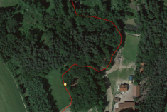 Apple iPhone 6S Plus: Waldpassage