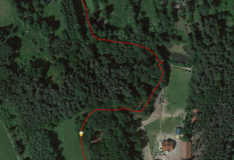 Apple iPhone 6S: Waldpassage