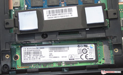Die Anbindung der SSD erfolgt per PCI Express x4.